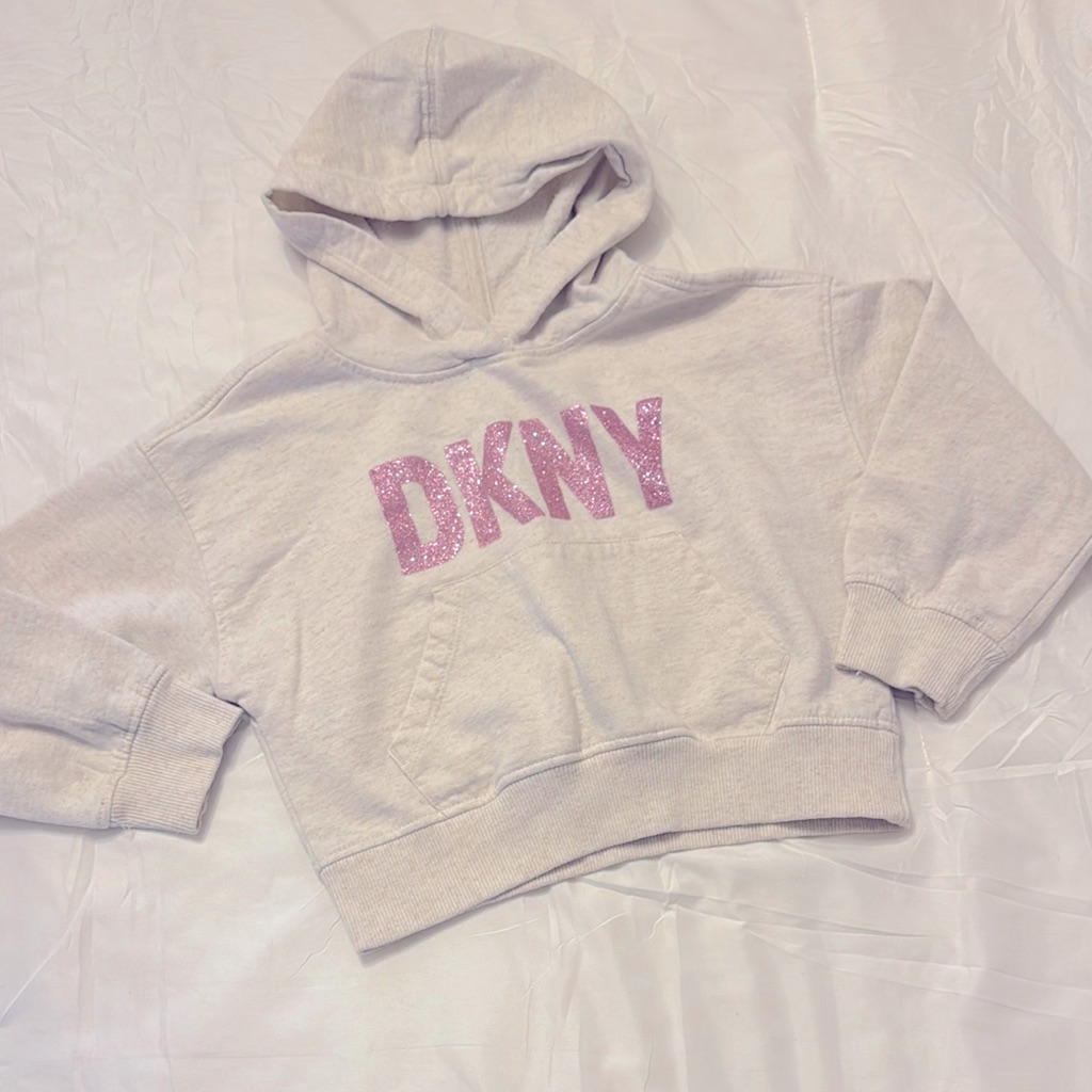 Cropped Dkny Hoodie